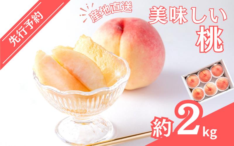 
【先行予約】和歌山県産の美味しい桃 約2kg （6～9玉入り）【2024年6月中旬頃から順次発送予定】 和歌山 もも モモ 桃 ギフト 贈り物 プレゼント 夏ギフト 果物 フルーツ 人気 産地直送 和歌山県 お取り寄せ
