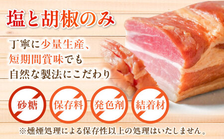 【全12回定期便】無添加燻製セットS (ベーコン ソーセージ 手羽先) 合計300g程度 / 燻製 鶏肉 豚肉 スモーク おつまみ / 瀬戸市 / 天佑[BBBZ022]