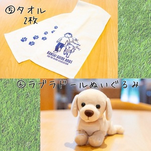 盲導犬 訓練 支援寄附 記念品［陶器のクイール（成犬）・タオル2枚セット・エコバッグ など盲導犬協会オリジナルグッズ］「行きたい場所に安心していける社会に…」補助犬（100,000円）
