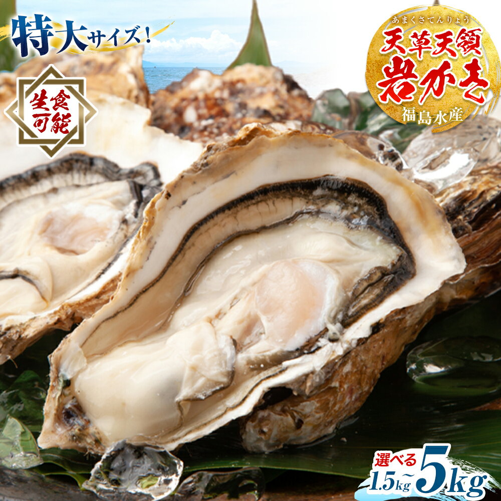 【ふるさと納税】牡蠣 カキ 天領 岩牡蠣 選べる容量 約1.5kg 2.5kg 5kg 《30日以内に出荷予定(土日祝除く)》熊本県 苓北町 かき 岩カキ 岩ガキ 貝 BIG ビッグ 生食 バーベキュー 夏天草 天領 福島水産 苓北 熊本 旬 シーズン 送料無料【配送不可地域あり】