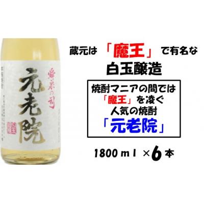 ふるさと納税 錦江町 【魔王を凌ぐ人気】白玉醸造の元老院6本セット(No.5016-1)