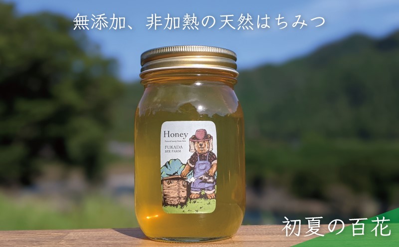 【先行予約 2025年6月20日より発送】合計600g 天然蜂蜜 国産蜂蜜 非加熱 生はちみつ 岐阜県 美濃市産 初夏 (蜂蜜600g入りガラス瓶1本)B5 深田養蜂のハチミツ