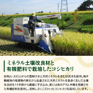 令和7年産　有機肥料を使用したミネラル米肝太くん家のコシヒカリ5kg