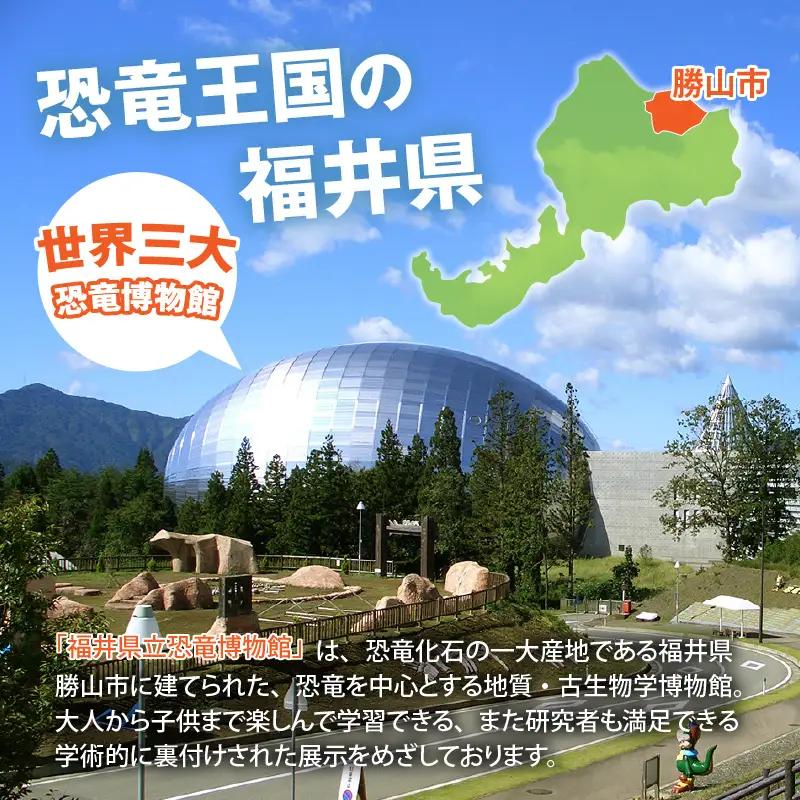 恐竜博物館 観覧券 常設展 一般2名＋小中学生1名 [A-048008]