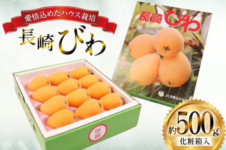 びわ 長崎 ハウスびわ 500g 化粧箱入 【2027年3月順次発送】