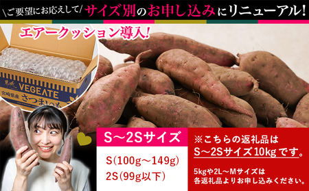 先行受付!【11月お届け】島津甘藷　熟成紅はるか 10kg(S～2S)_AA-A701-m-11_(都城市) 島津甘藷 紅はるか サツマイモ 未選別 10kg S～2S 