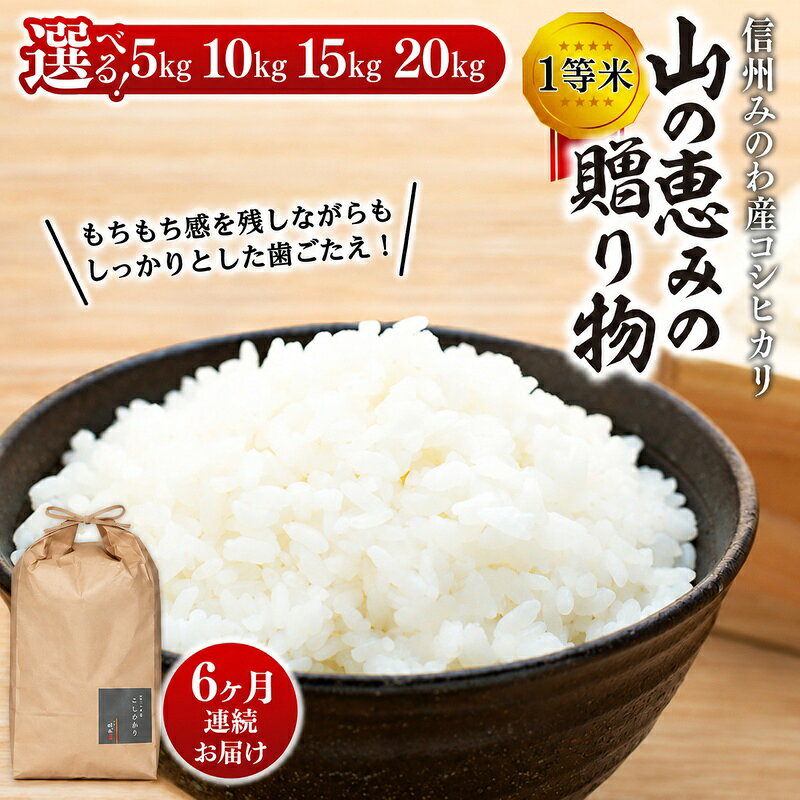 【ふるさと納税】定期便 6ヶ月連続お届け 米 コシヒカリ 1等米 「山の恵みの贈り物」選べる 5kg 10kg 15kg 20kg お米 コメ 白米 精米 おこめ こめ 信州産 長野県産 特産 産地直送 おすすめ　お米・コシヒカリ　お届け：2026年10月より順次出荷