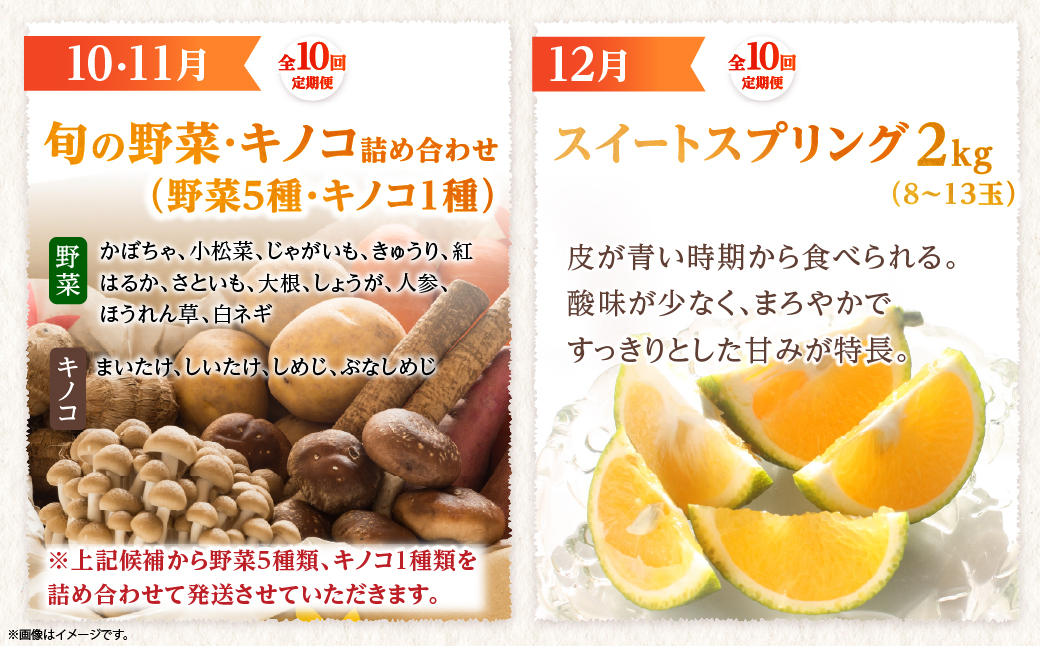 【全10回お届け】宮崎県綾町産 果物・野菜定期便 [X21]_A0113-0021