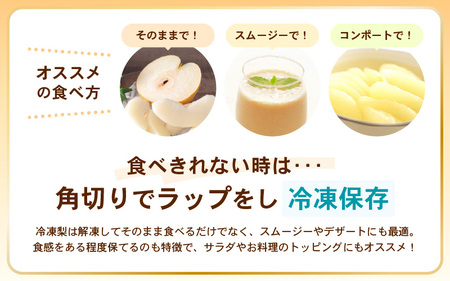 【先行予約】 幸水梨 1箱 5kg入り (8～12玉) 【2026年8月中旬以降順次発送予定】 梨 なし [A-16208]
