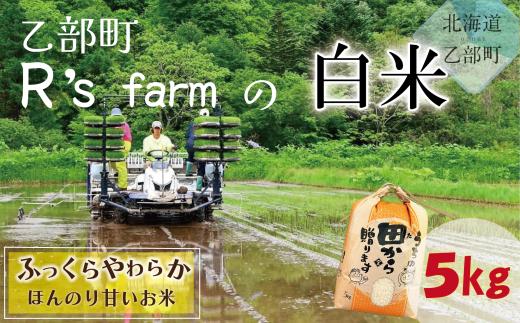 
                  【北海道の米（５kg）】＜ ～ふっくらつややか！若手農家が作る米～米 国産米 北海道 道産 道産米 ＞
                