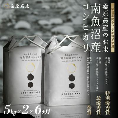 ふるさと納税 南魚沼市 【発送月固定定期便】　最優秀賞受賞【栽培期間中8割農薬減】南魚沼産コシヒカリ5kg×2全6回