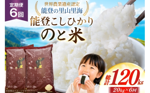 米 令和8年 のと米 能登こしひかり 20kg 6回 定期便 [能登わかば農業協同組合 石川県 中能登町 nk17bth130014] 令和8年産 新米 こしひかり コシヒカリ 定期 6ヶ月 20キロ お米 ブランド米 国産 国産米 能登米 ごはん ご飯 白飯 飯  白米 こめ コメ おこめ okome kome