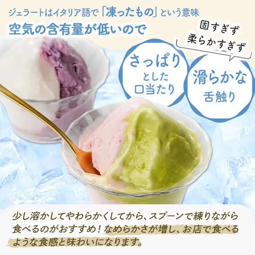 ジェラート専門店「ボンチーノ」7種12個セット〔MJ-1565〕