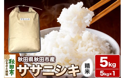 令和7年産 秋田県 秋田市産 ササニシキ 精米 5kg 白米 米