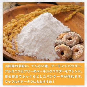 阿波ノ北方米粉 パンケーキ用 1.8kg 【 米粉 】