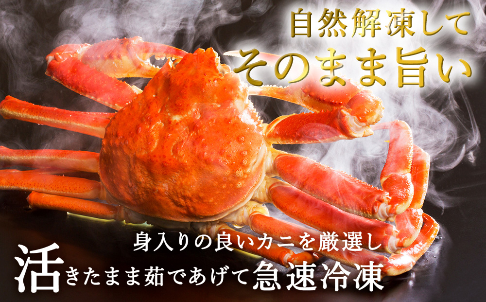 稚内産　本ずわいがに姿　2尾～3尾（1.5kg）