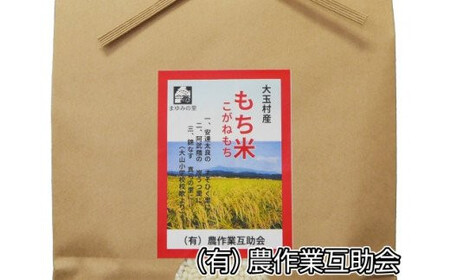 もち米 5kg こがねもち 【 令和7年産 】【 農業生産法人 農作業互助会のお米 】 もち米 もち米 もち米