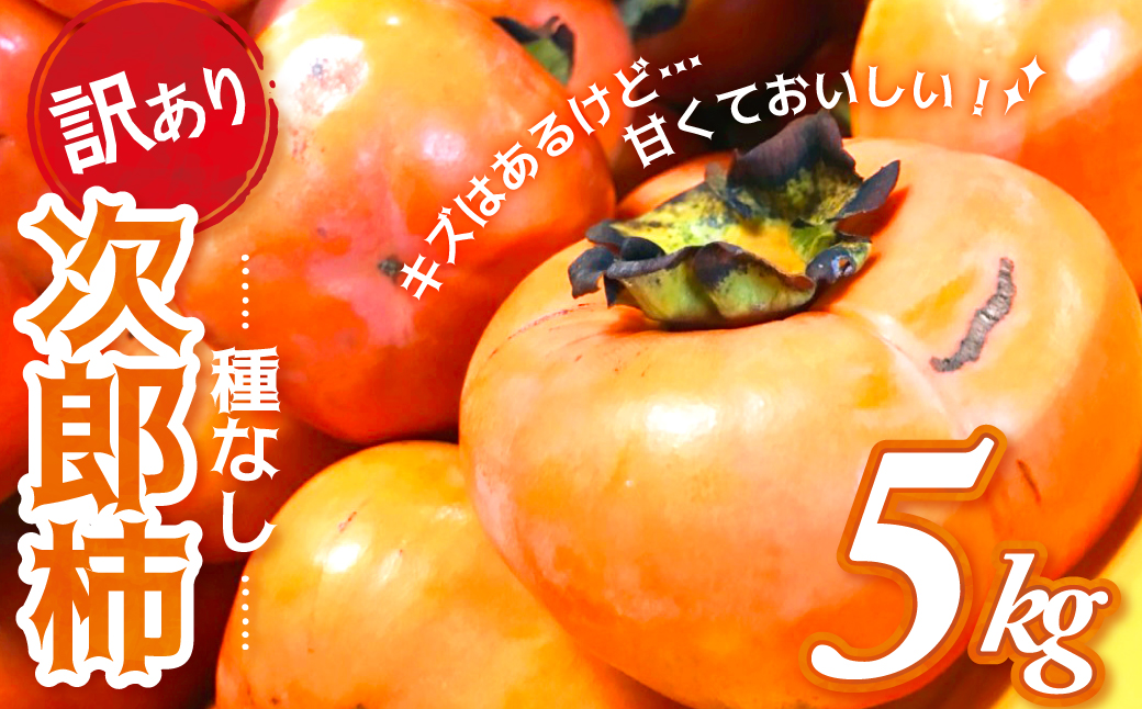 【令和8年産柿・先行予約】《 訳あり 》5㎏ 次郎柿 たねなし 柿 かき フルーツ 家庭用 訳あり 規格外 わけあり 不揃い ふぞろい 種なし 干し柿 三重県 多気町 GF-17