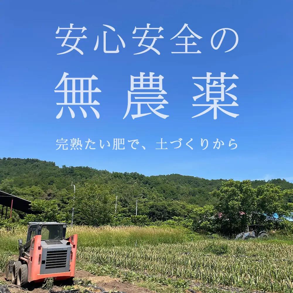 2026年分予約開始！ 【数量限定】渋谷さん家の「無農薬 にんにく MIXサイズ 200gx5袋」