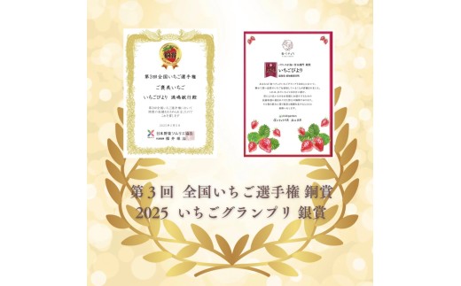 【採れたて瞬間冷凍！】滋賀県愛荘町産　冷凍いちご 3kg（500g×6）品種ミックス 冷凍 いちご 紅ほっぺ よつぼし みおしずく あまえくぼ　 BJ06