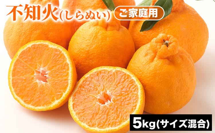 
                  ご家庭用 不知火 (しらぬい) サイズ混合 5kg | みかん 柑橘 和歌山 みかん 不知火 しらぬい 家庭用 フルーツ 果物 5kg ※2026年1月下旬～3月下旬頃に順次発送
                