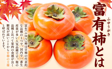 柿 富有柿 約3.5kg