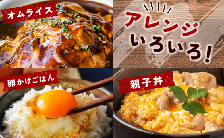 ＜配送開始月が選べる!!＞児湯養鶏自慢の卵 ネッカリッチ赤たまご「児湯一番」 計480個 （20個入×2箱）×12か月定期便 ※2026年2月配送開始【E19-2602】 2026年2月配送開始