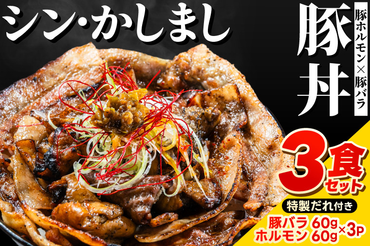 
                   ～最強の鹿島アントラーズサポーター応援メシ～ かしまし豚のホルモン×豚バラ丼 3食セット 特製だれ付き（炭火焼）【かしまし豚 ホルモン 豚バラ 食べ比べ セット】（KDQ-10）
                