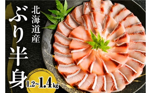えりも【マルデン特製】(ワンフローズン) 北海道 日高産 ぶり 半身 1.2kg～1.4kg【er002-077-b】