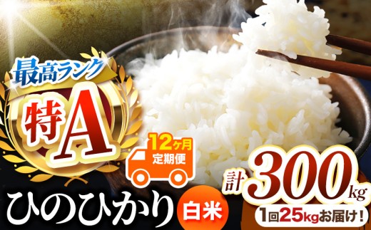 【 定期便12回 】熊本県産 白米 ひのひかり 25kg | お米 米 こめ おこめ 精米 白米 ヒノヒカリ 25キロ 300キロ ご飯 国産 国産米 定期 くまもと 熊本 熊本県 玉名市 玉名