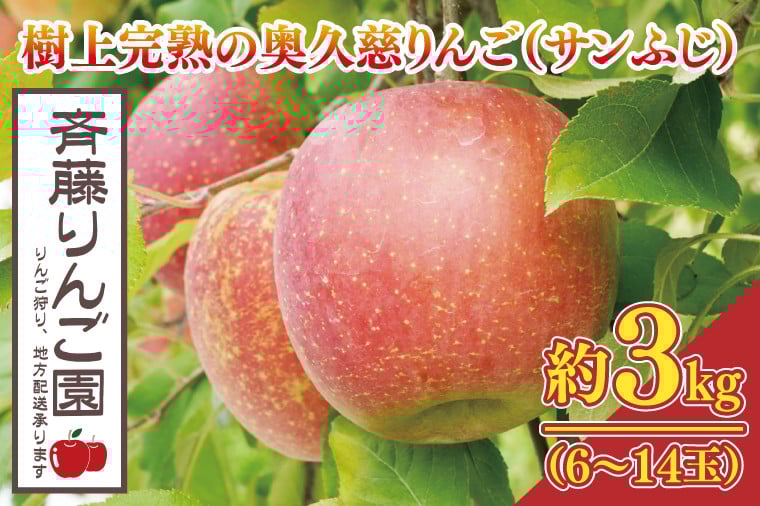
            【数量限定/先行予約】樹上完熟の奥久慈りんご「サンふじ」約3kg（6～14玉）【2025年11月上旬頃発送予定】斉藤りんご園第2直売所｜茨城県 大子町 林檎 果物 フルーツ 旬（CG007-1）
          