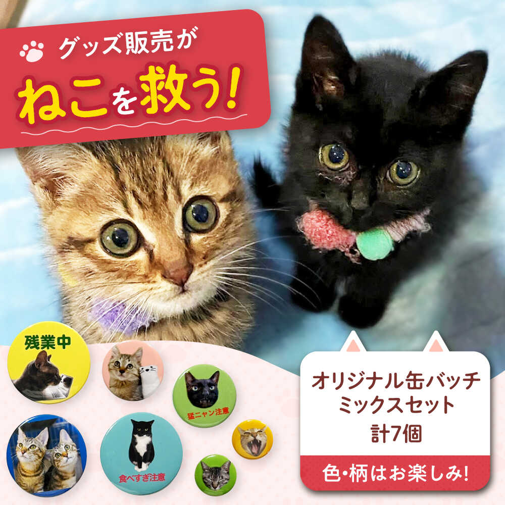 【ふるさと納税】ねこ雑貨 オリジナル缶バッチミックスセット ねこ ネコ 猫 雑貨 日用品 ペット 缶バッチ オリジナル セット 保護猫 猫グッズ 保護猫支援 ギフト 贈り物 贈答 プレゼント 人気 おすすめ 大阪 大阪府 高槻 高槻市 ふるさと納税 大阪府高槻市/WithCat[AOEI004]