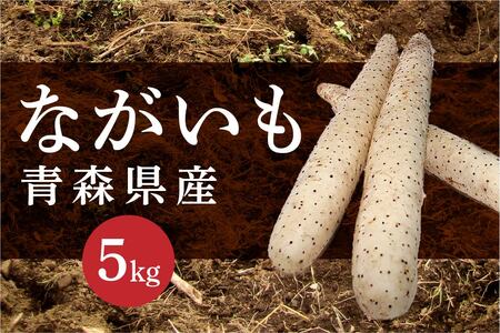 長芋 5kg ながいも 野菜　