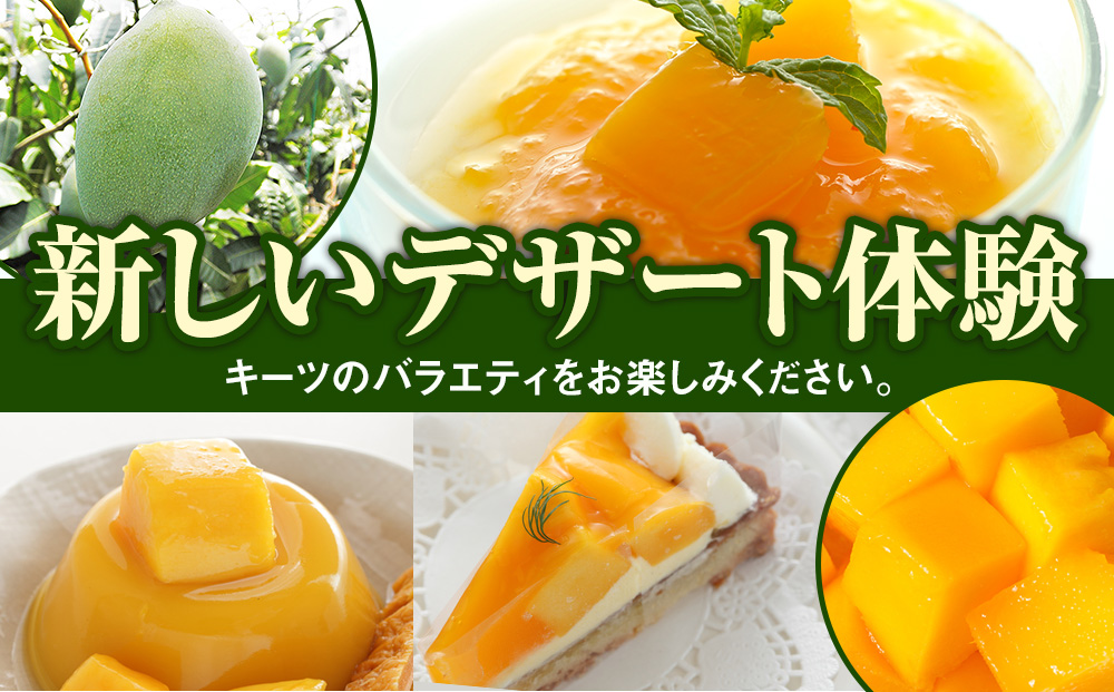 【2026年発送】南風原農園　丹精込めた「キーツマンゴー」1kg