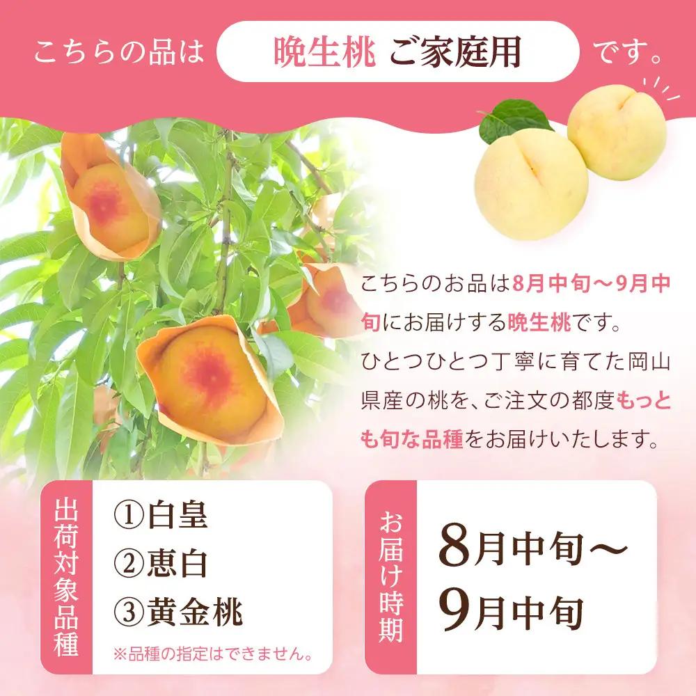 2026年 先行予約 ご家庭用 岡山 の 桃 固め 晩生種 約2kg（5～9玉）（黄金桃の場合もあります）|　桃