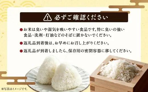 〈 令和8年産 〉 浦臼産ゆめぴりか 精白米 5kg × 1袋 お米 米 こめ コメ 白米 白飯 飯 ご飯 おにぎり 国産 北海道産 ブランド米 ブランド 粘り タンパク質 艶 【 2026年10月下