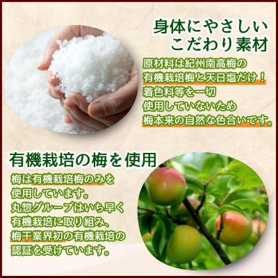 ふるさと納税 田辺市 有機梅肉 150g×2個【mrs037】 |  | 02