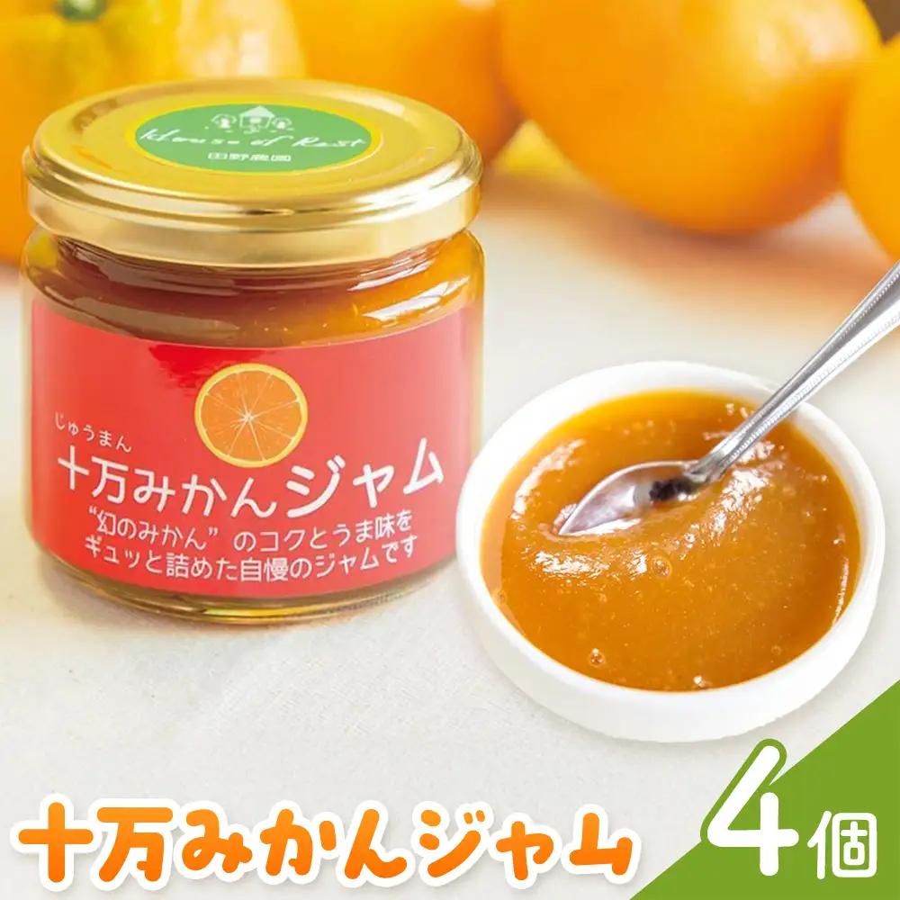 十万みかん ジャム 150g 4個 田野農園《30日以内に出荷予定(土日祝除く)》鹿児島県 さつま町
