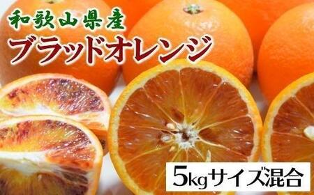 ［希少・高級柑橘］国産濃厚ブラッドオレンジ「タロッコ種」約5kg★2026年4月頃より順次発送予定［TM149］
