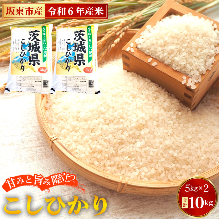 No.669 令和6年産　こしひかり10kg【坂東市産】