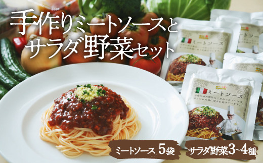 【野菜セット】シェフの目線で厳選！ サラダ野菜セット×シェフ自慢のミートソース（135g×5袋） 大洲市/（有）ヒロファミリーフーズ[AGBX034] 野菜定期便 野菜 定期便 野菜 詰め合わせ スパゲッティ サラダ  野菜 旬野菜 食材セット 宅配 詰め合わせ おまかせセット お任せ 野菜 詰め合わせ お試しセット 新鮮 こだわり 野菜詰め合わせ シェフ厳選 サラダ スープ 鍋