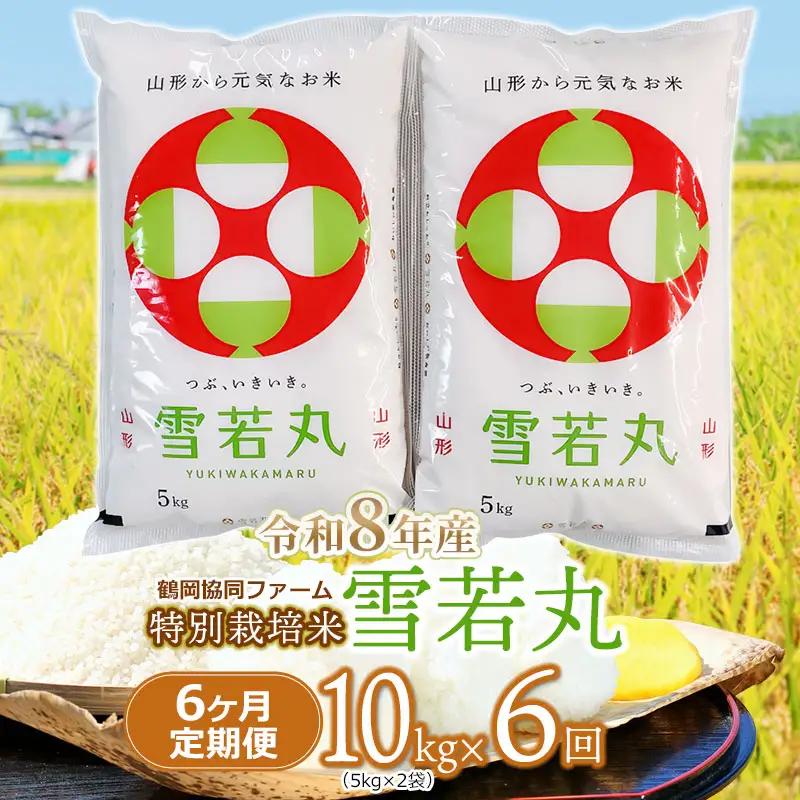 【令和8年産 新米】 特別栽培米 雪若丸 精米 10kg (5kg×2袋) ×6ヶ月【定期便】 山形県鶴岡産　鶴岡協同ファーム