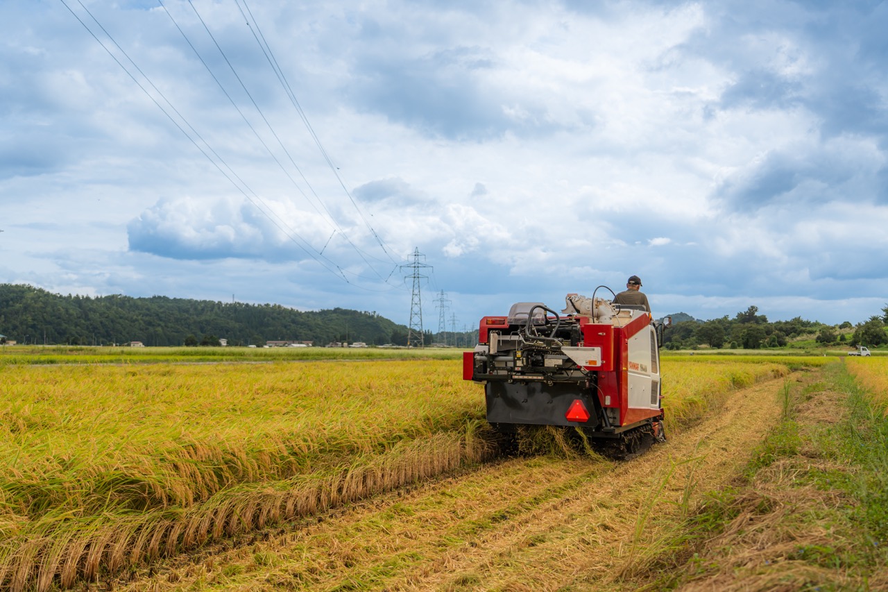 米 お米 玄米 10kg ひとめぼれ 【1週間程度で発送・年内発送】 令和7年産 gt-higxx10 山形県産 ご入金確認後、1週間程度で発送