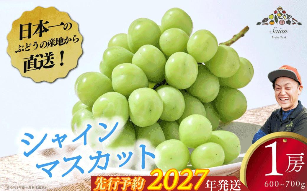 
                  【2027年発送分 先行予約】【お試しサイズ】シャインマスカット １房 フルーツ 山梨県産 果物 シャイン マスカット ぶどう ブドウ 大粒 種なし
                
