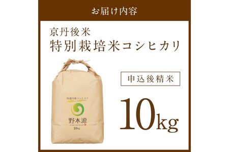 2025年産 京丹後米 特別栽培米コシヒカリ 10kg（白米）　令和7年　注文後精米