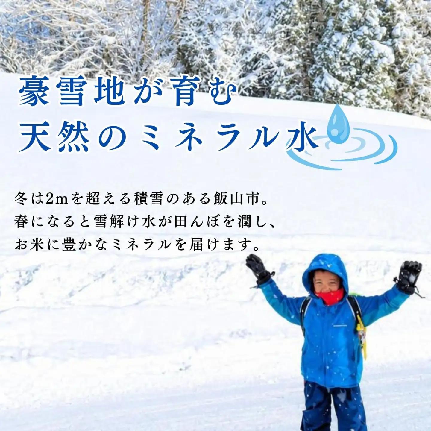 【新米予約】こしひかり 精米 20kg 豊米
