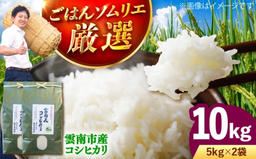お米 雲南市産コシヒカリ 10kg（5kg×2袋）こしひかり コシヒカリ 米 こめ おこめ はくまい 精米 コメ 10キロ 使いやすい ごはん ご飯 おにぎり お弁当 朝ごはん 食卓 主食 グルメ おいしい ふっくら もちもち 濃厚 冷めても美味しい 国産 新生活 一人暮らし 家族 ご当地 ごはんソムリエ おすすめ 人気 お取り寄せ 島根県雲南市/有限会社藤本米穀店 [AIDB106]
