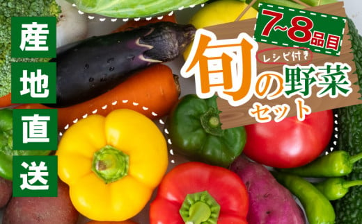 季節の野菜セット 産地直送 朝採れ （7品 ～ 8品 野菜 セット 詰め合わせ 特産 季節 旬 新鮮 彩 ベジタブル 高知県 須崎市  ） NPO020