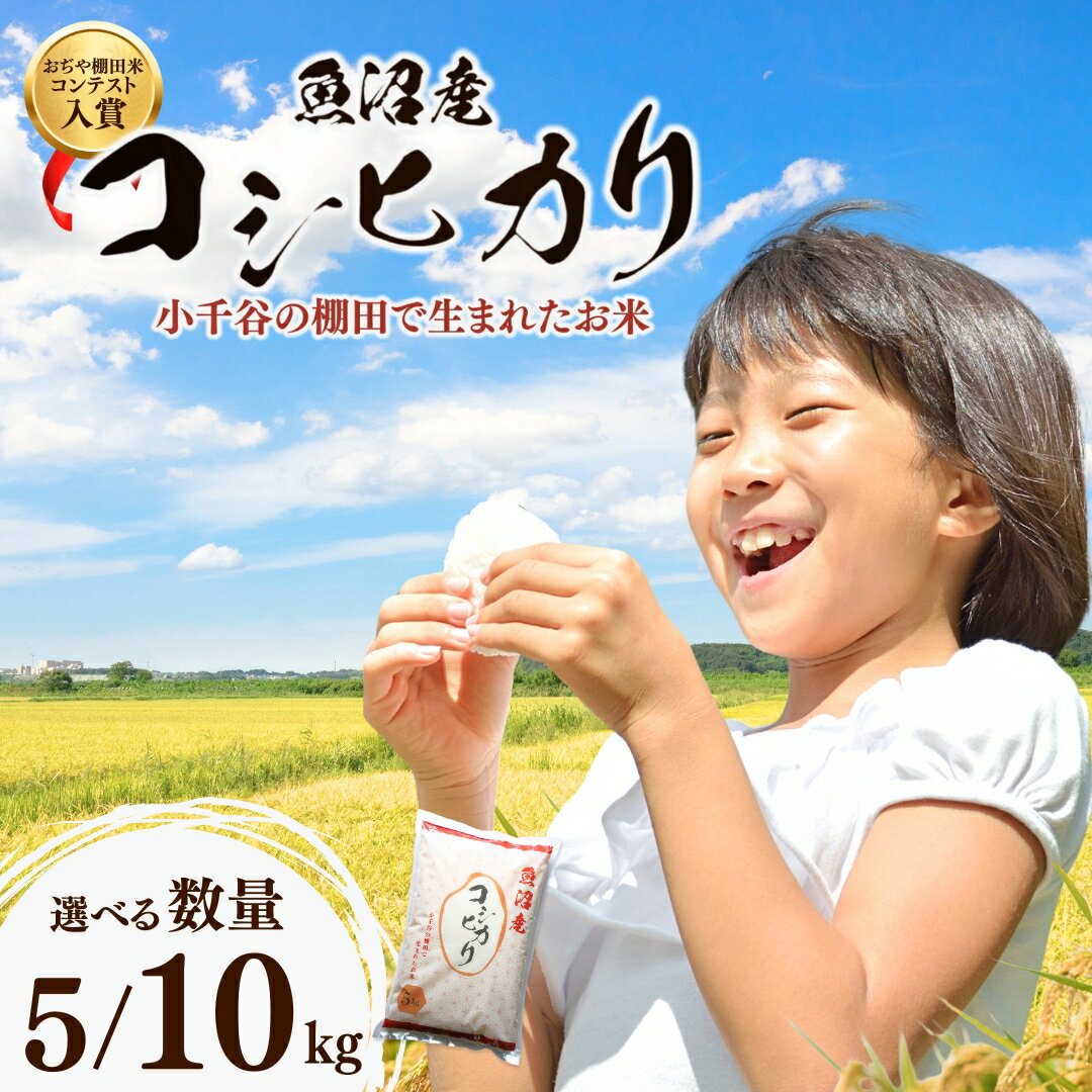 【ふるさと納税】新潟県 こしひかり 米 令和7年産 魚沼産コシヒカリ 棚田米 精米 選べる数量 5kg 10kg おぢや棚田米コンテスト入賞者 栽培の魚沼産コシヒカリ | 白米 精米 お米 魚沼 新潟県産 小千谷市【0002-RC00SV00-03】