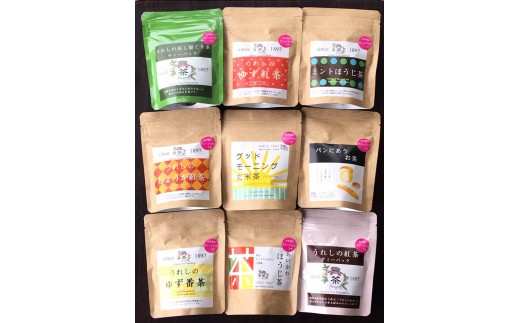 
相川製茶補　スタンドティーパック9袋セット

